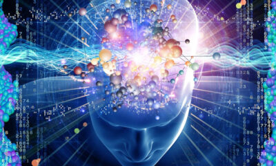 Abstract illustration of a human head with a glowing brain, neural networks, and data streams representing neuroscience or AI concepts.