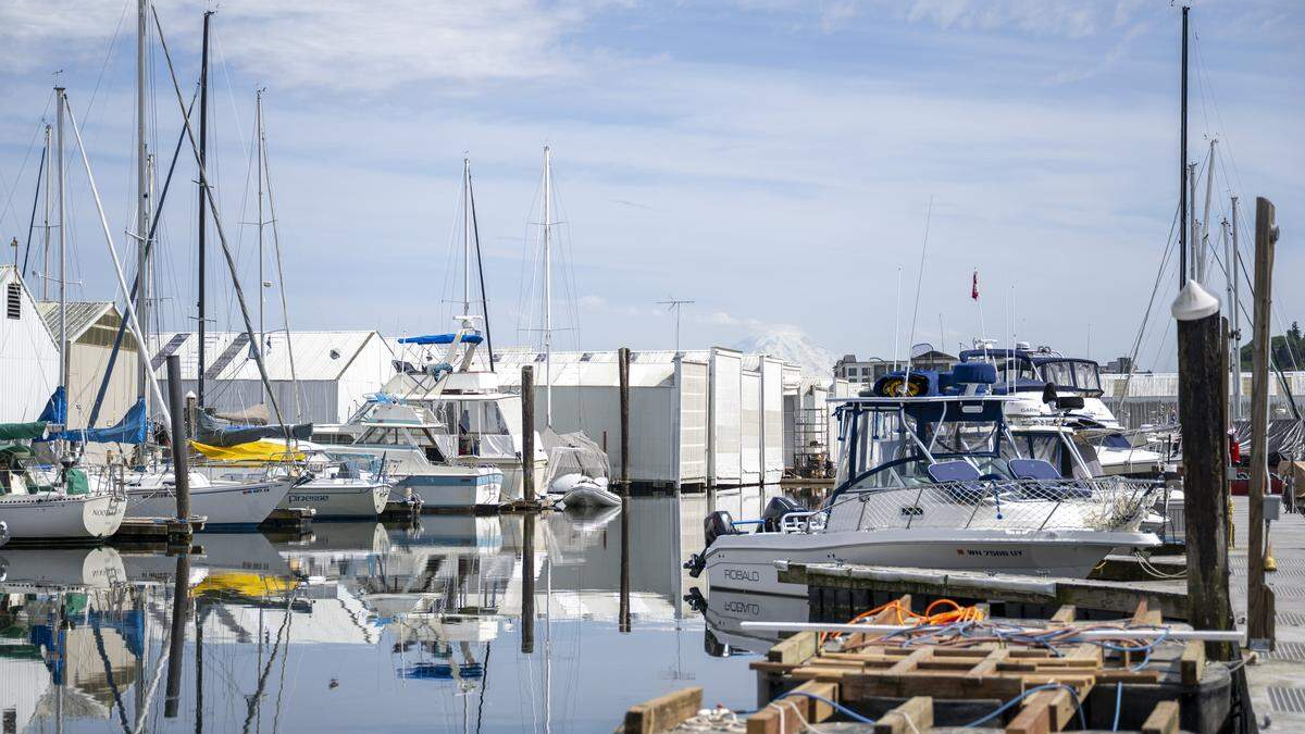 Marina with sailboats and motor yachts docked along piers; calm water reflects hulls and masts.