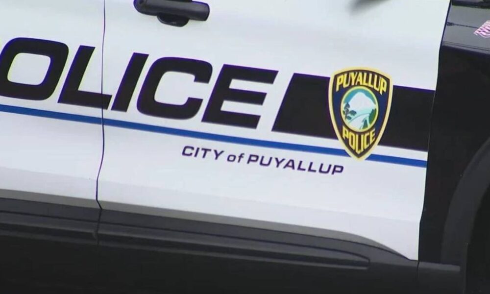 Puyallup Police car door with 'POLICE' lettering and city badge, blue stripe along white vehicle, partial American flag on rear edge.