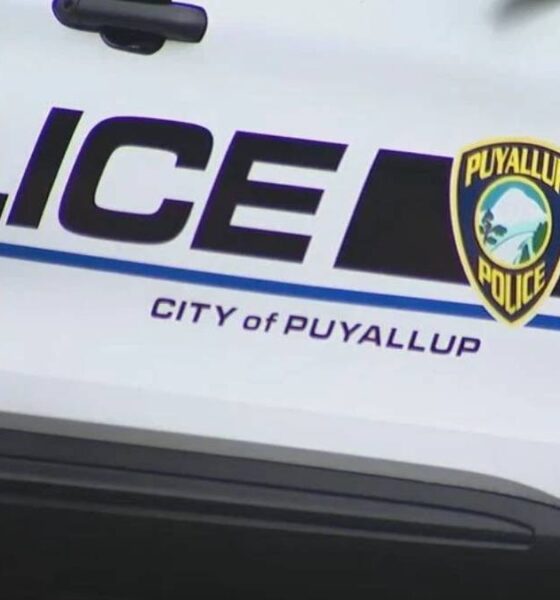 Puyallup Police car door with 'POLICE' lettering and city badge, blue stripe along white vehicle, partial American flag on rear edge.
