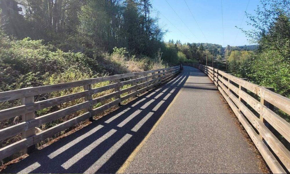 Paved pedestrian/cycle path flanked by wooden railings, sun casting long shadows, with trees and clear blue sky in a park-like setting.