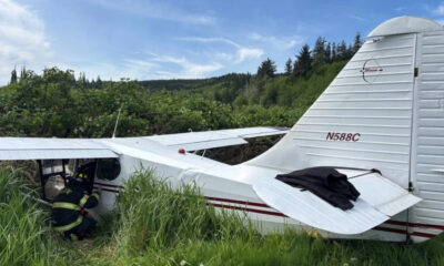 Small white single-engine plane crashed in tall grass; firefighter kneels at the open cockpit door by a damaged wing.