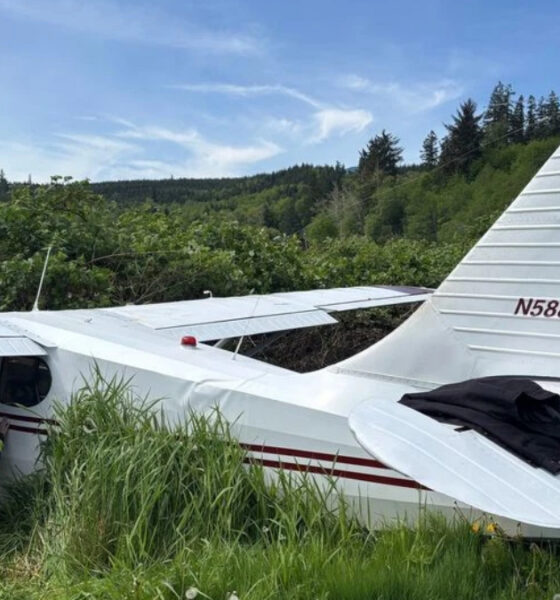 Small white single-engine plane crashed in tall grass; firefighter kneels at the open cockpit door by a damaged wing.