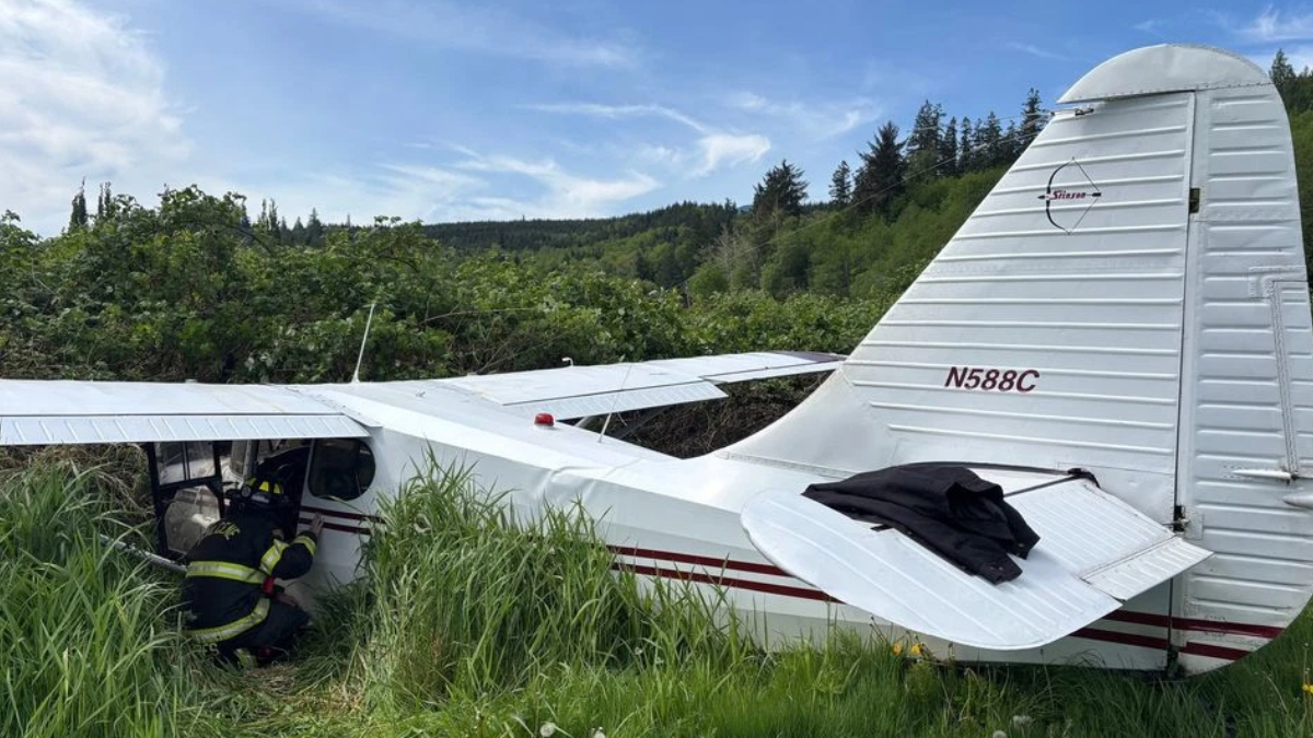 Small white single-engine plane crashed in tall grass; firefighter kneels at the open cockpit door by a damaged wing.