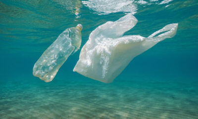 Plastic bottle and plastic bag float underwater in clear blue water, highlighting ocean plastic pollution.