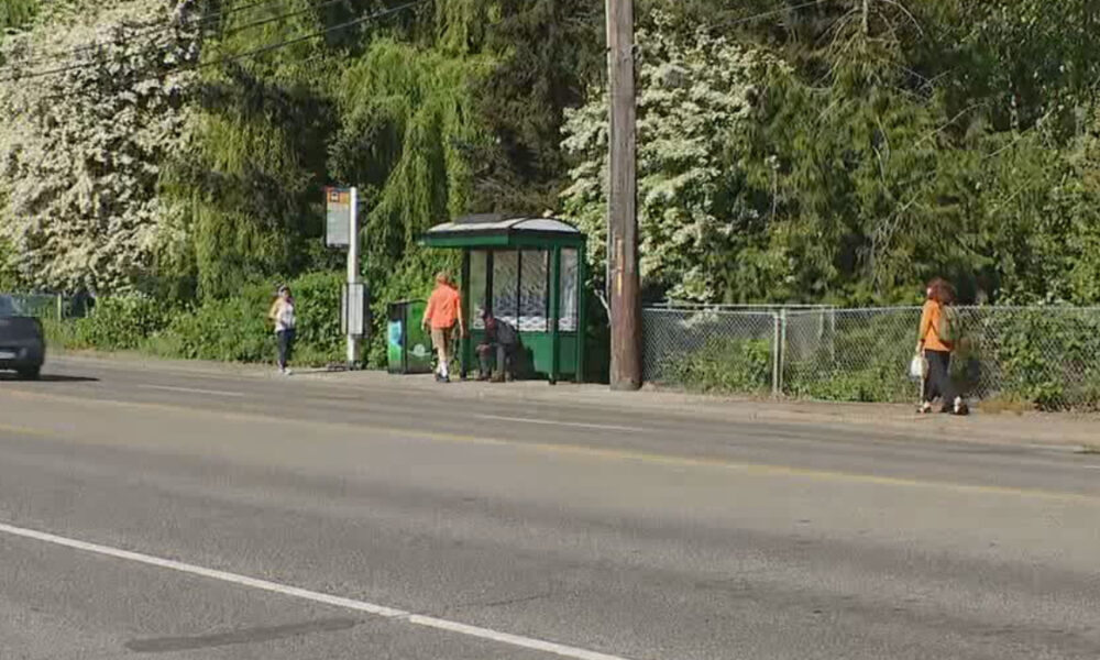 People wait at a green bus shelter on a tree-lined street as a car passes by.
