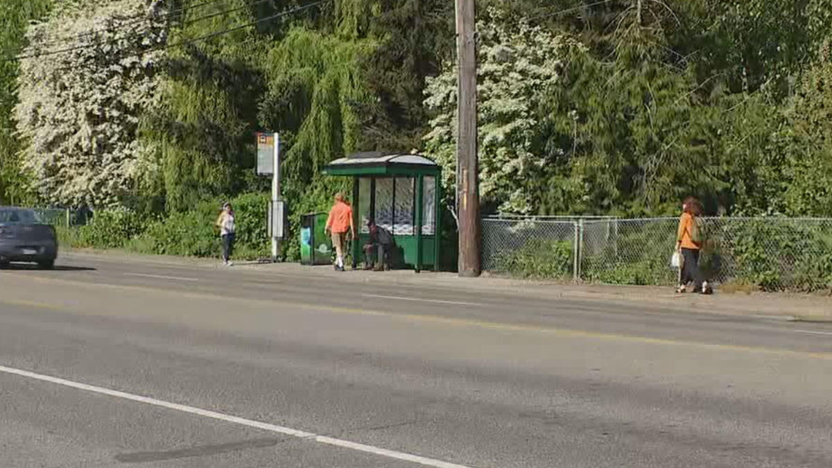 People wait at a green bus shelter on a tree-lined street as a car passes by.