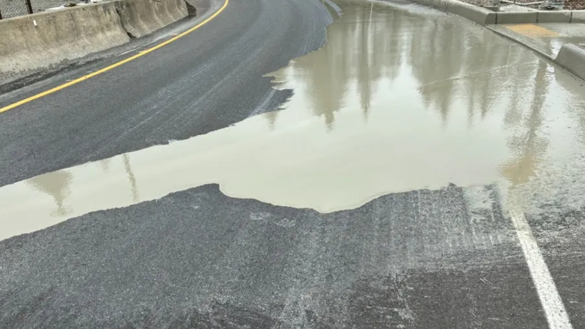 Curved road with a large puddle covering part of the surface and reflecting trees, blocking part of the lane.