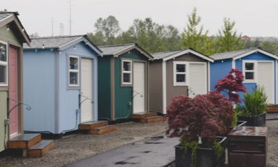 Row of colorful small cabins or sheds with individual doors and step platforms, string lights along the eaves, and potted plants in the foreground