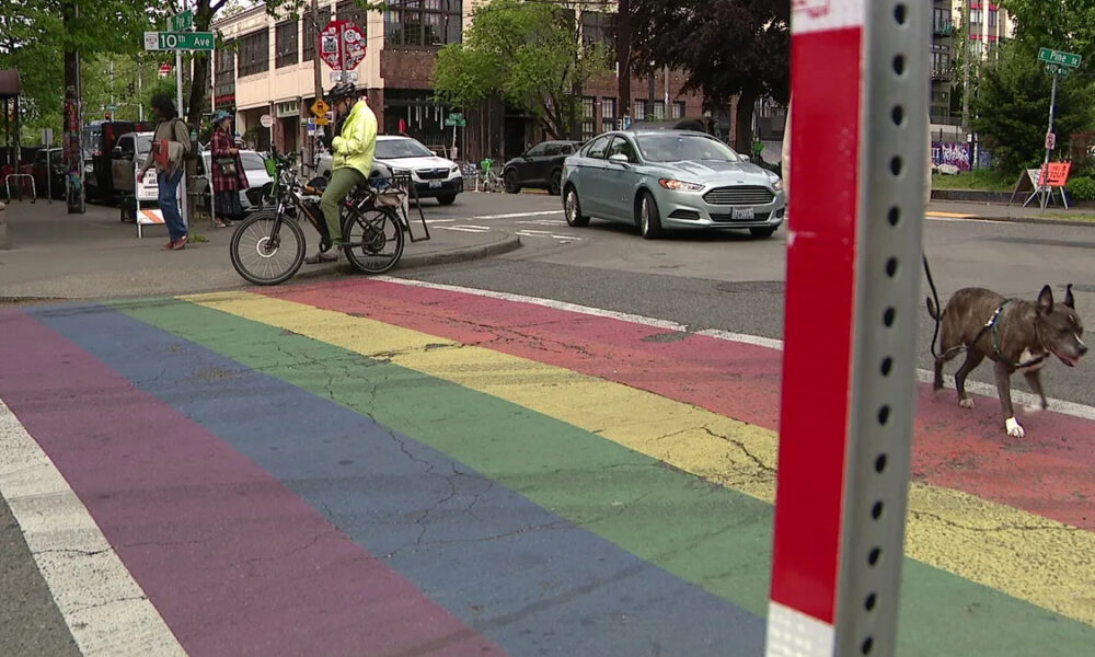 Cyclist waiting at a curb to cross a rainbow-painted crosswalk while a brown dog walks nearby and cars pass in the background on a city street.