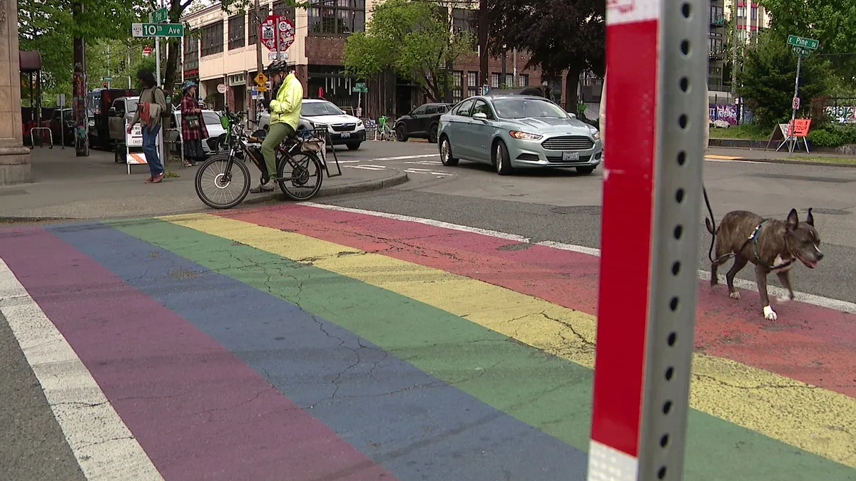 Cyclist waiting at a curb to cross a rainbow-painted crosswalk while a brown dog walks nearby and cars pass in the background on a city street.