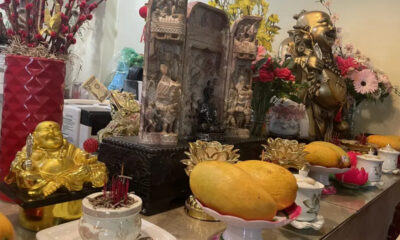 Altar setup with a golden laughing Buddha, incense, flowers, and large mango offerings on the table.