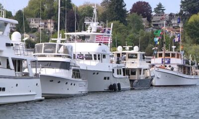Line of white luxury yachts docked at a marina with flag bunting and houses on shore in the background, calm water in foreground.