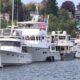 Line of white luxury yachts docked at a marina with flag bunting and houses on shore in the background, calm water in foreground.