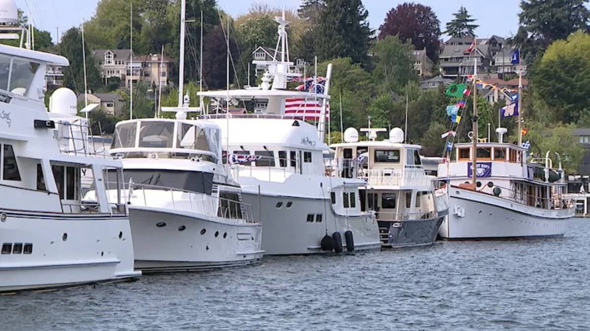 Line of white luxury yachts docked at a marina with flag bunting and houses on shore in the background, calm water in foreground.