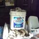 Trunk loaded with clutter: a white pail labeled Laundry Detergent, a tub filled with rocks, and assorted bags and gloves