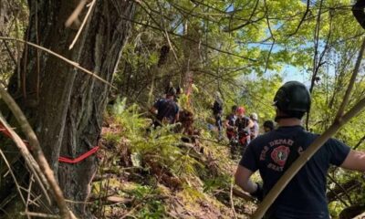Firefighters in helmets and gear work in a dense forest on a steep hillside, marked off with red tape.