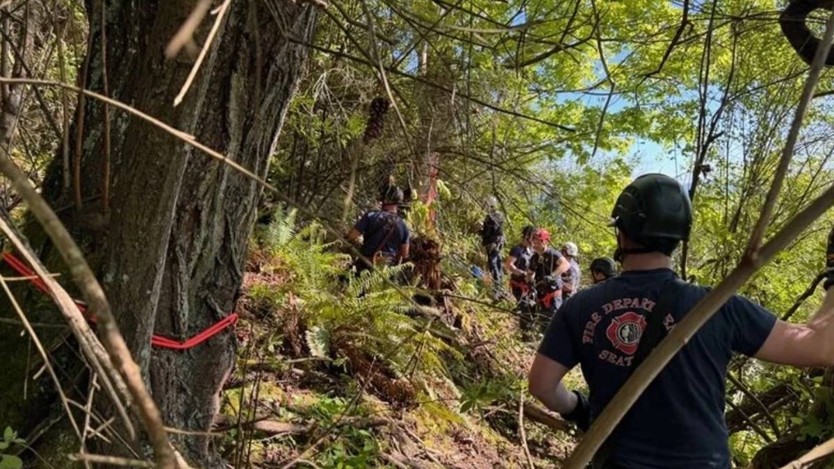 Firefighters in helmets and gear work in a dense forest on a steep hillside, marked off with red tape.