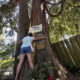Person in denim shorts leans on a large tree, posting colorful signs about love and Earth Day in a yard.