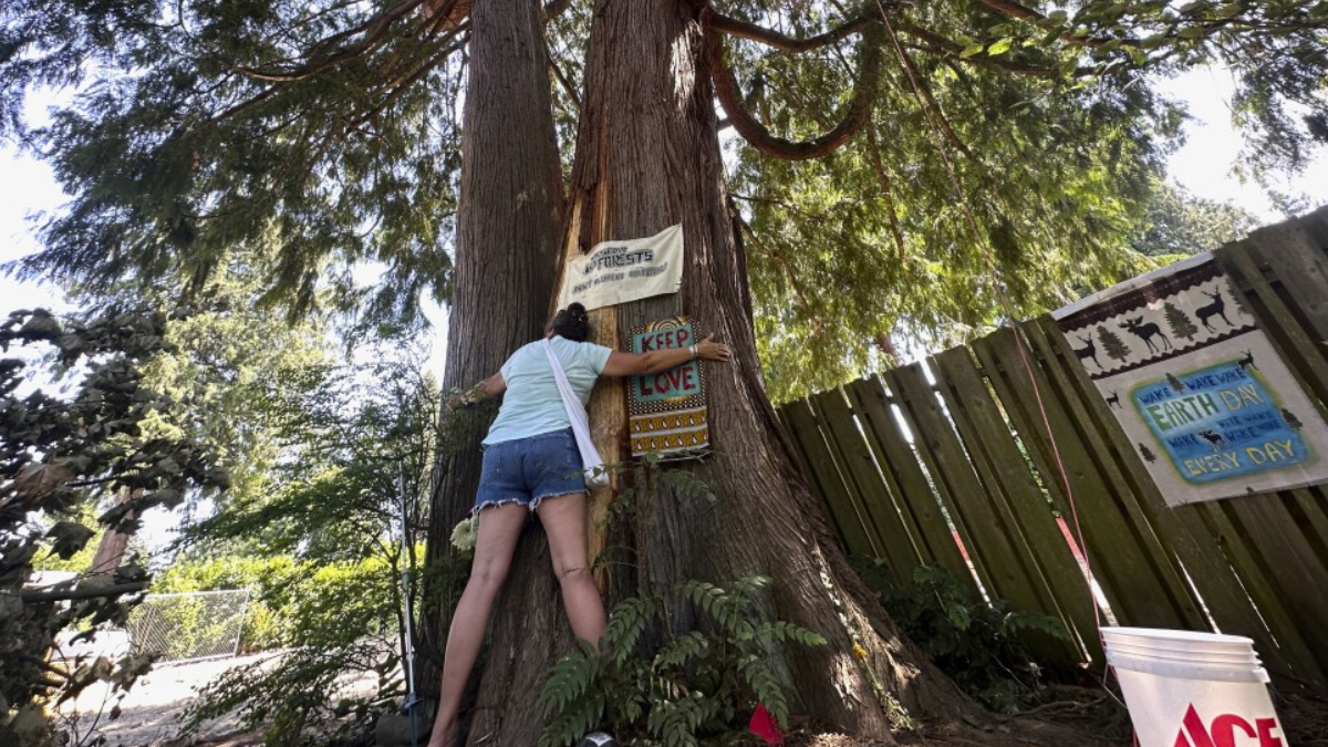 Person in denim shorts leans on a large tree, posting colorful signs about love and Earth Day in a yard.