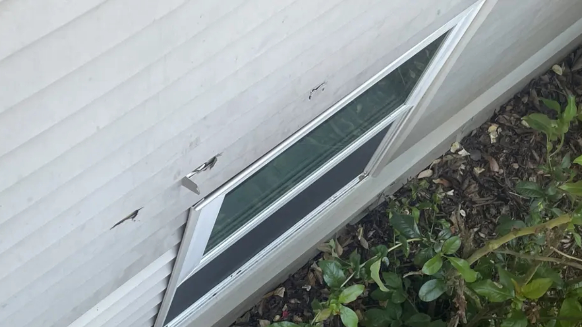 Exterior wall with a small rectangular basement window; white siding has two small holes above the window and shrubs at the base.”