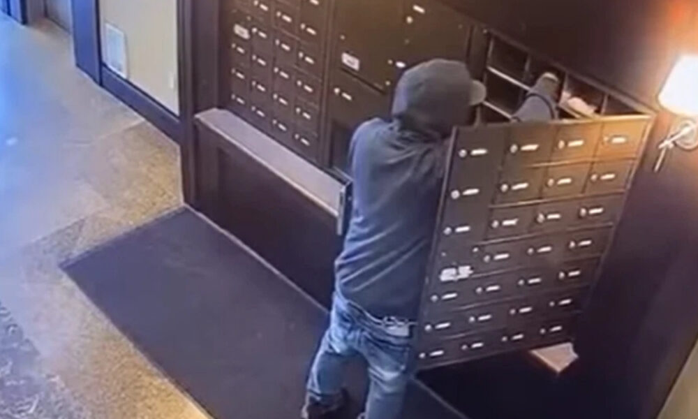 Person in a gray hoodie and jeans leaning into a wall of mailboxes, reaching into a mailbox in a building hallway.