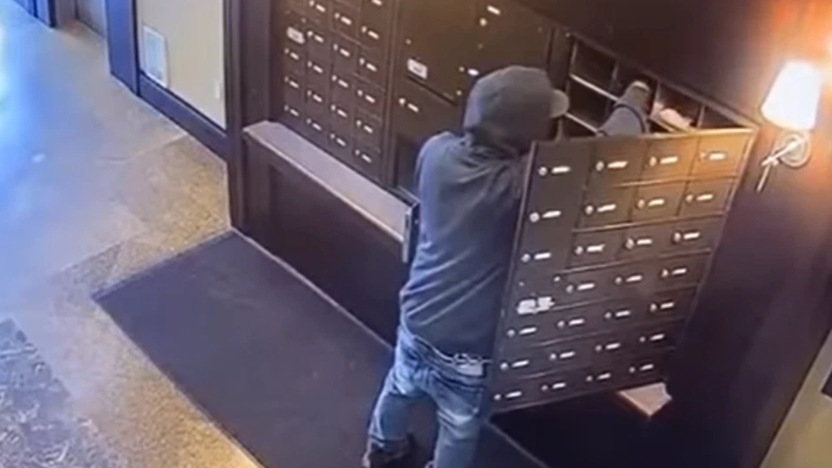 Person in a gray hoodie and jeans leaning into a wall of mailboxes, reaching into a mailbox in a building hallway.