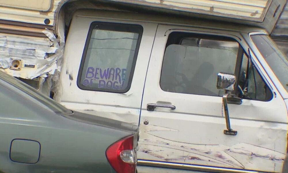 White, weathered van with scratches and a purple 'BEWARE OF DOG' sign visible in the rear window, parked beside a gray car.