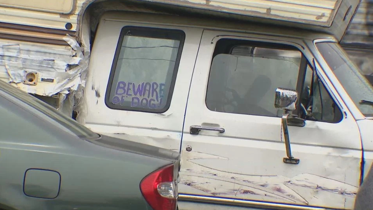 White, weathered van with scratches and a purple 'BEWARE OF DOG' sign visible in the rear window, parked beside a gray car.