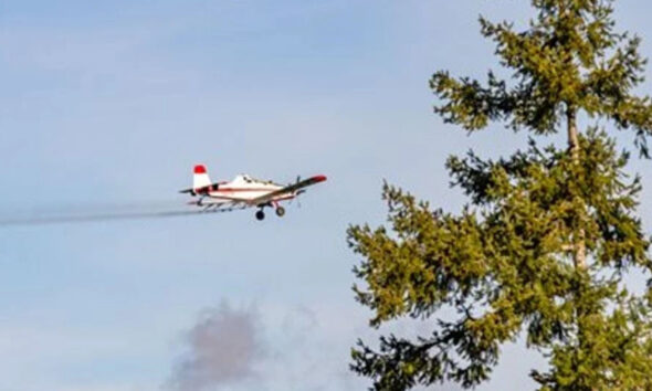 Small crop-duster airplane flies past a green tree in a blue sky, leaving a vapor trail behind it.