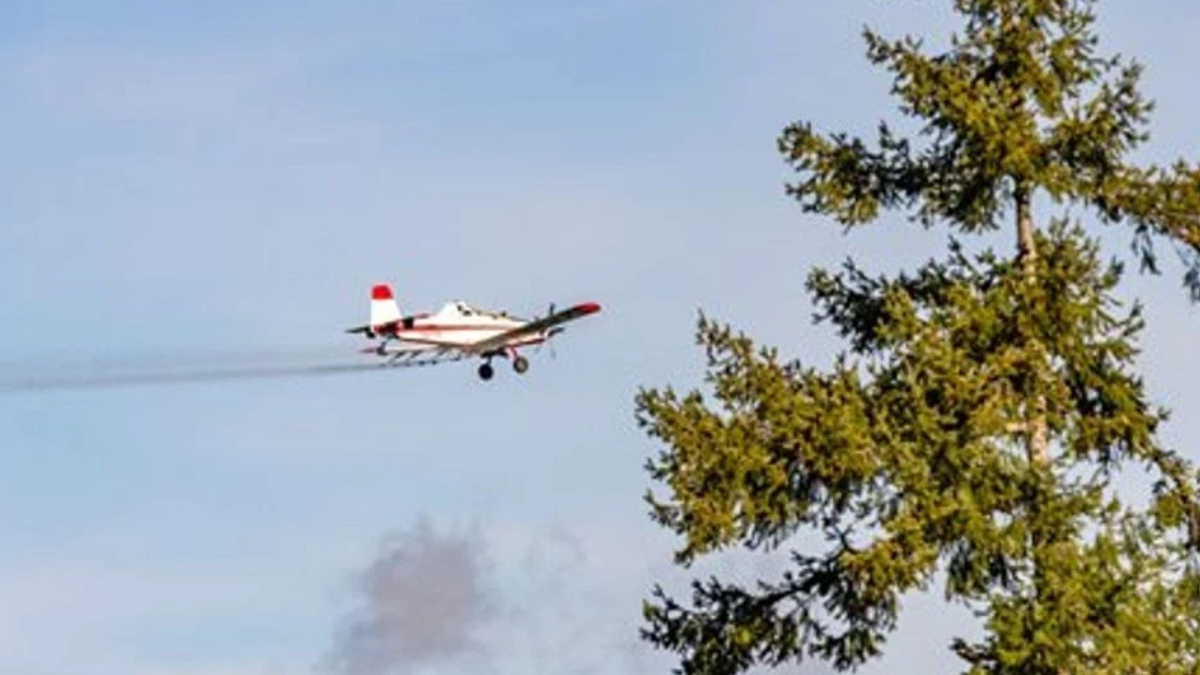 Small crop-duster airplane flies past a green tree in a blue sky, leaving a vapor trail behind it.