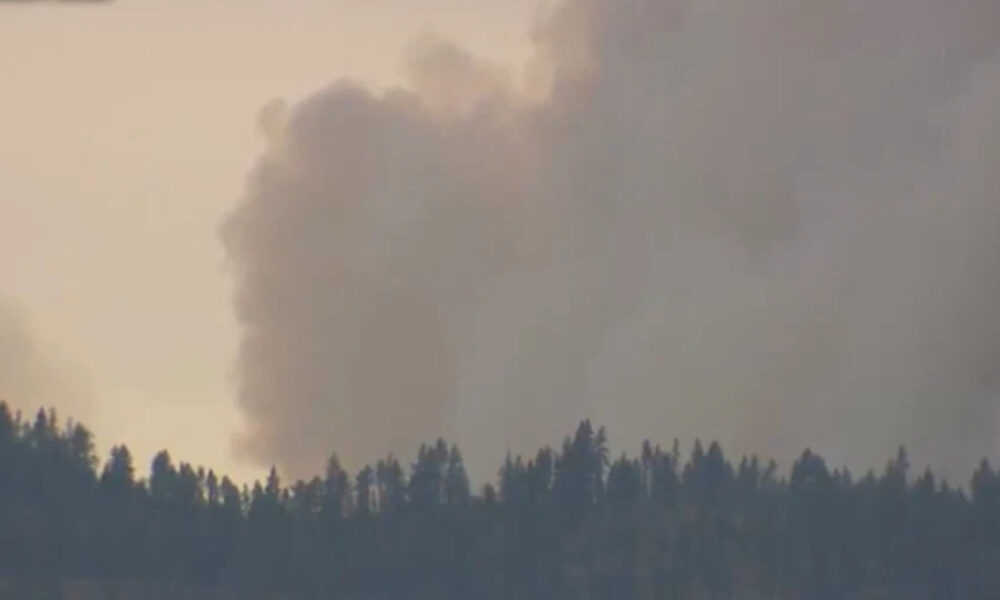Smoke plume rising above a forest at dusk, suggesting a wildfire nearby.
