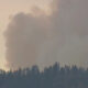 Smoke plume rising above a forest at dusk, suggesting a wildfire nearby.