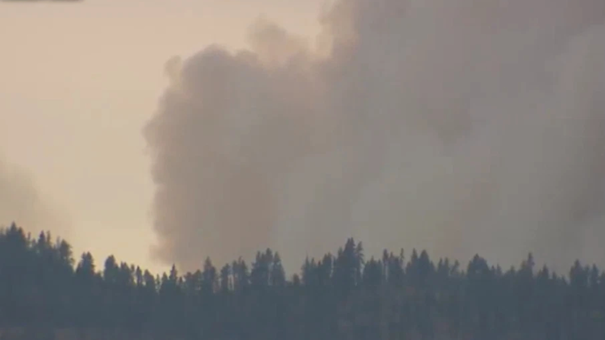 Smoke plume rising above a forest at dusk, suggesting a wildfire nearby.