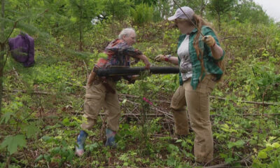 Two people in a wooded, overgrown area lift a long black pipe between them, wearing gloves and work clothes.