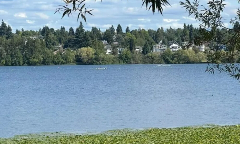 Calm lake with two small boats on blue water, tree-lined far shore and houses in distance, with leafy branches in the foreground.