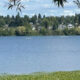 Calm lake with two small boats on blue water, tree-lined far shore and houses in distance, with leafy branches in the foreground.