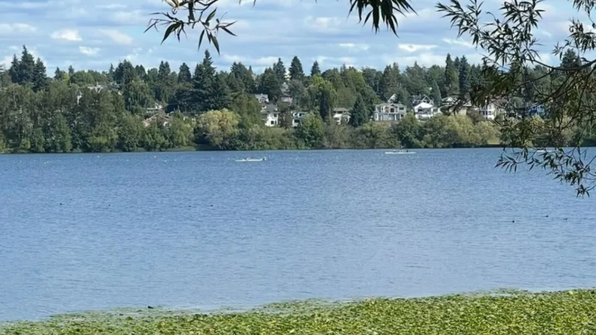 Calm lake with two small boats on blue water, tree-lined far shore and houses in distance, with leafy branches in the foreground.