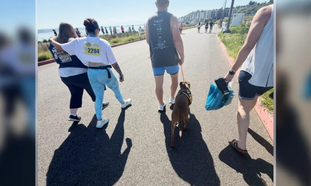 People walk along a sunny coastal path with a brown dog on a leash during a race event; one person wears a bib number 2294 on the back of his shirt.