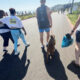 People walk along a sunny coastal path with a brown dog on a leash during a race event; one person wears a bib number 2294 on the back of his shirt.
