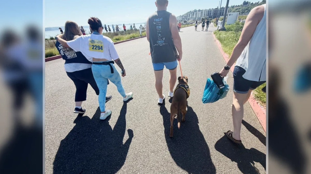 People walk along a sunny coastal path with a brown dog on a leash during a race event; one person wears a bib number 2294 on the back of his shirt.
