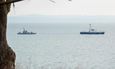 Two ships on calm water seen from shore, a small tug towing a larger vessel in the distance. A tree trunk frames the left edge.