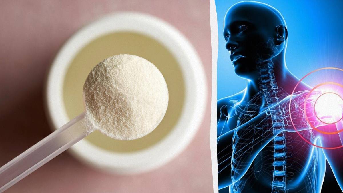 Left: a scoop of white powder hovering over an open container; right: a blue medical illustration of a human upper body with a highlighted shoulder indicating pain