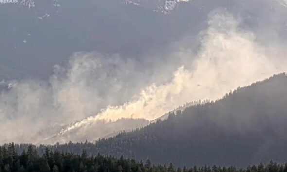 Large plume of wildfire smoke sweeping over a forested mountain slope in Oregon, with dense pine trees at the foreground and a bright, smoky sky above.