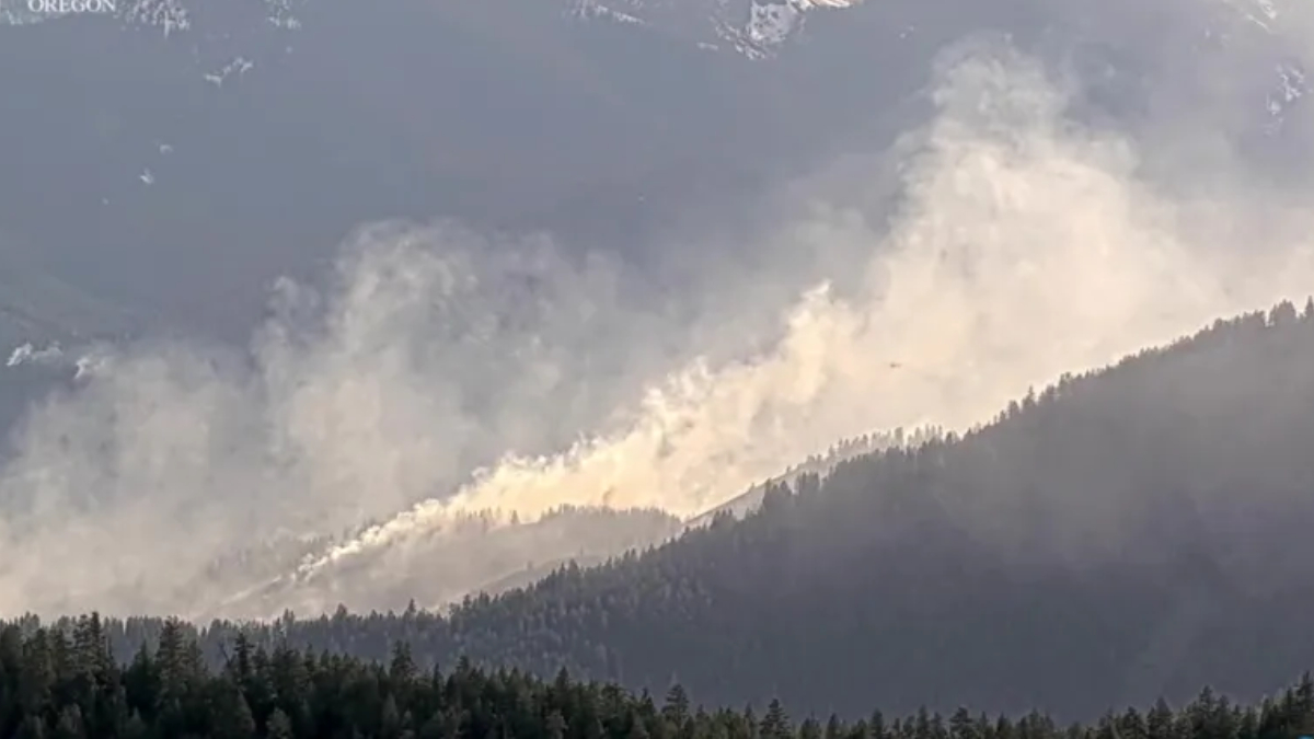Large plume of wildfire smoke sweeping over a forested mountain slope in Oregon, with dense pine trees at the foreground and a bright, smoky sky above.