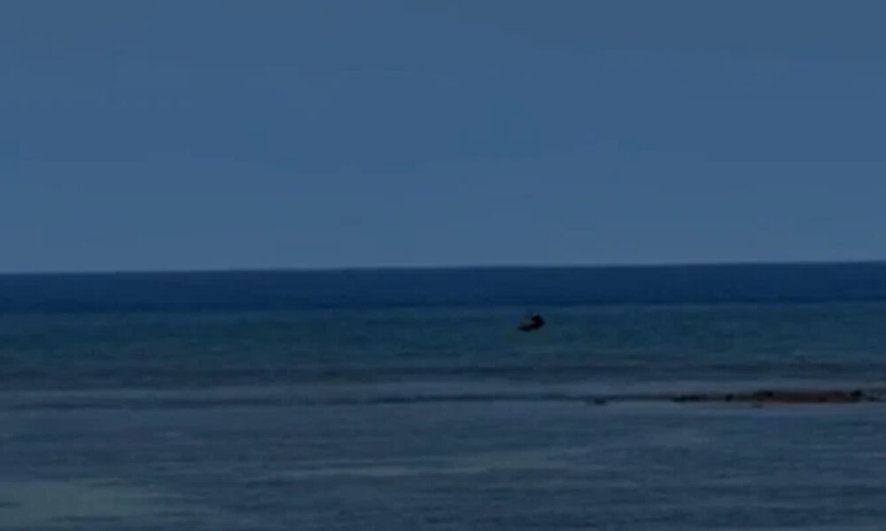 Wide blue ocean with a distant dark bird skimming the water near the horizon on a clear day.