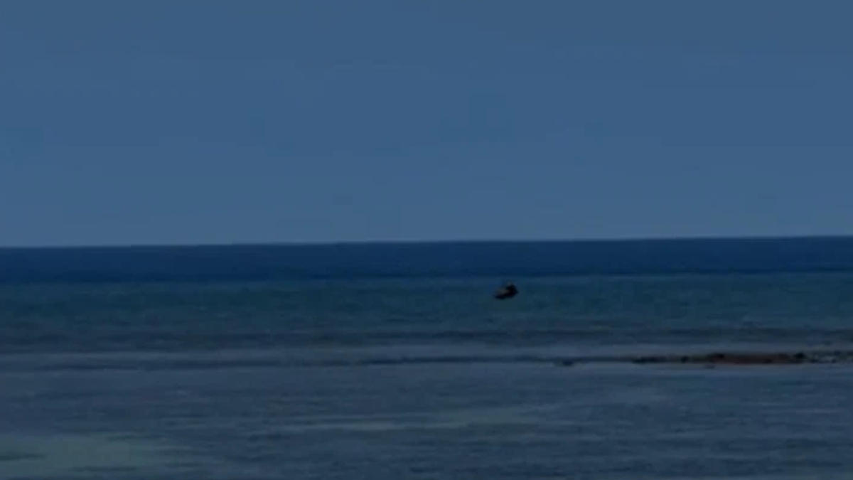 Wide blue ocean with a distant dark bird skimming the water near the horizon on a clear day.