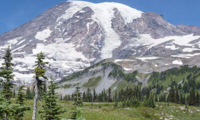 Snow-capped mountain rising above a green forest and meadow under a blue sky.