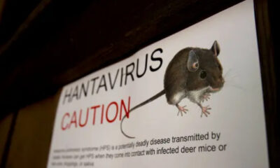 Caution sign reading 'HANTAVIRUS CAUTION' with a drawing of a small mouse on the right side.