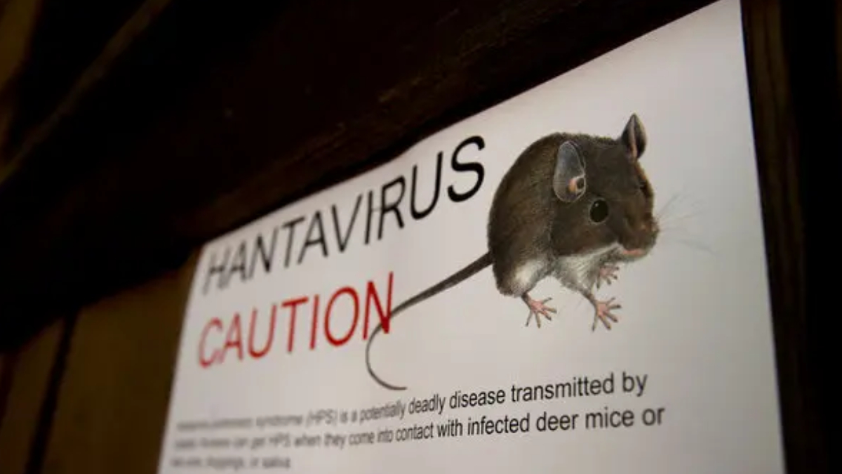 Caution sign reading 'HANTAVIRUS CAUTION' with a drawing of a small mouse on the right side.